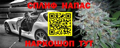 гашик Пенза