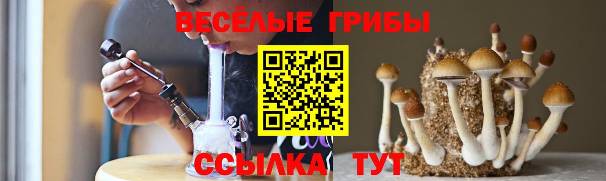 Анжеро-Судженск  Псилоцибиновые грибы MAGIC MUSHROOMS  Вход с VPN 